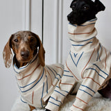 Harvest Stripe Jersey