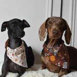 Pumpkin Patch Bandana