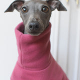 Raspberry Fleece