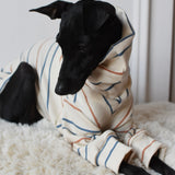 Harvest Stripe Jersey