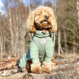 Mint Fleece