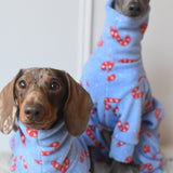 Candy Cane Fleece