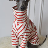 Red Breton Jersey