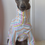 Pastel Stripe Jersey