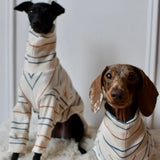 Harvest Stripe Jersey