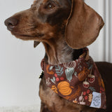 Pumpkin Patch Bandana