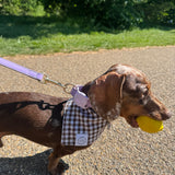 Gingham Bandana Neckerchiefs