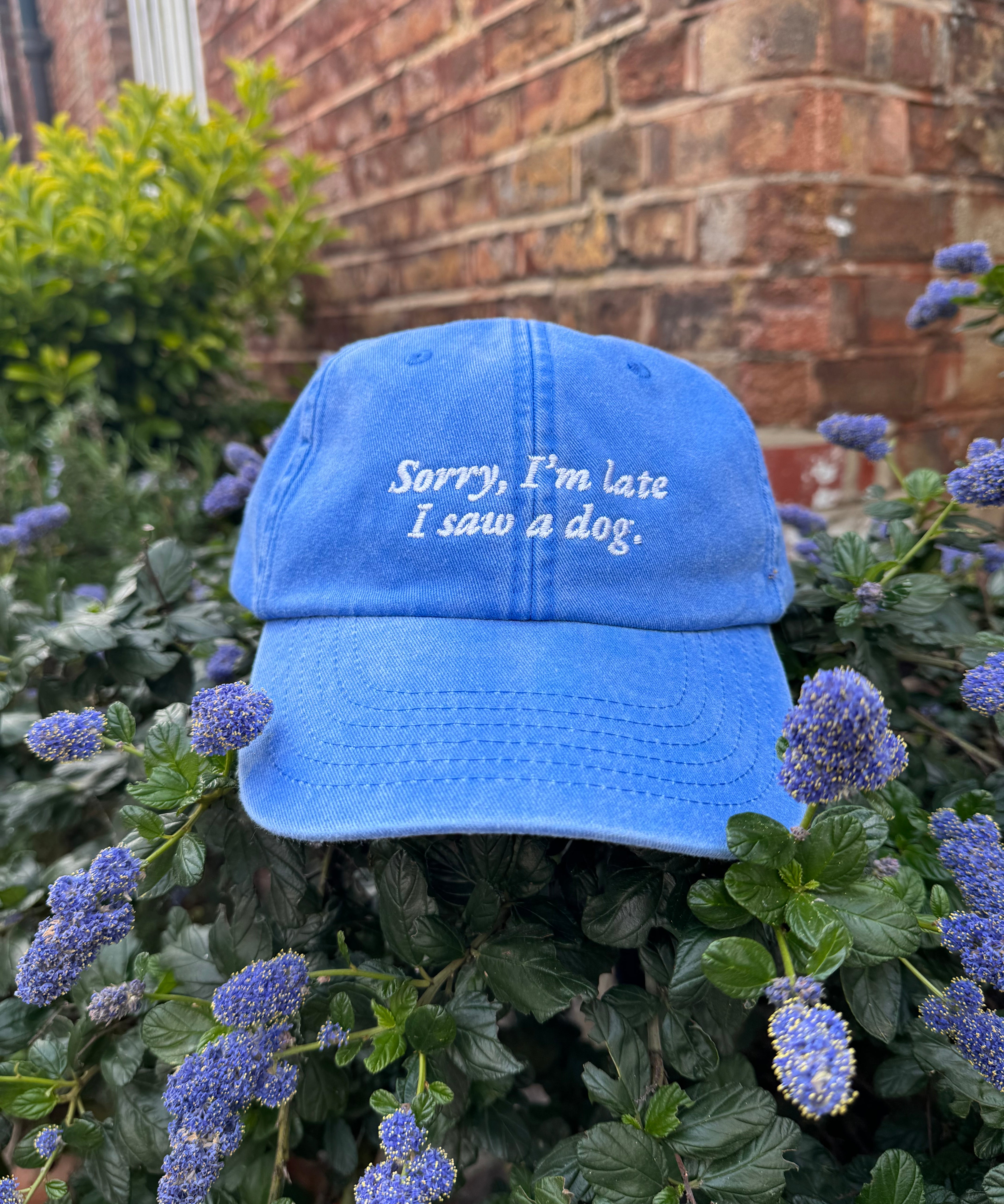Cap- Sorry I’m late..