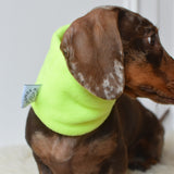 Fleece Snood