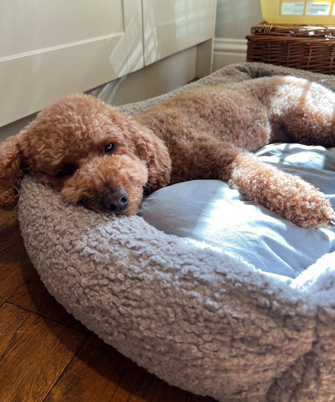 Sherpa Bed