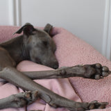 Sherpa Bed
