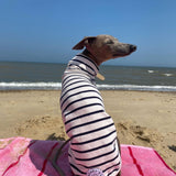 Classic Breton Jersey