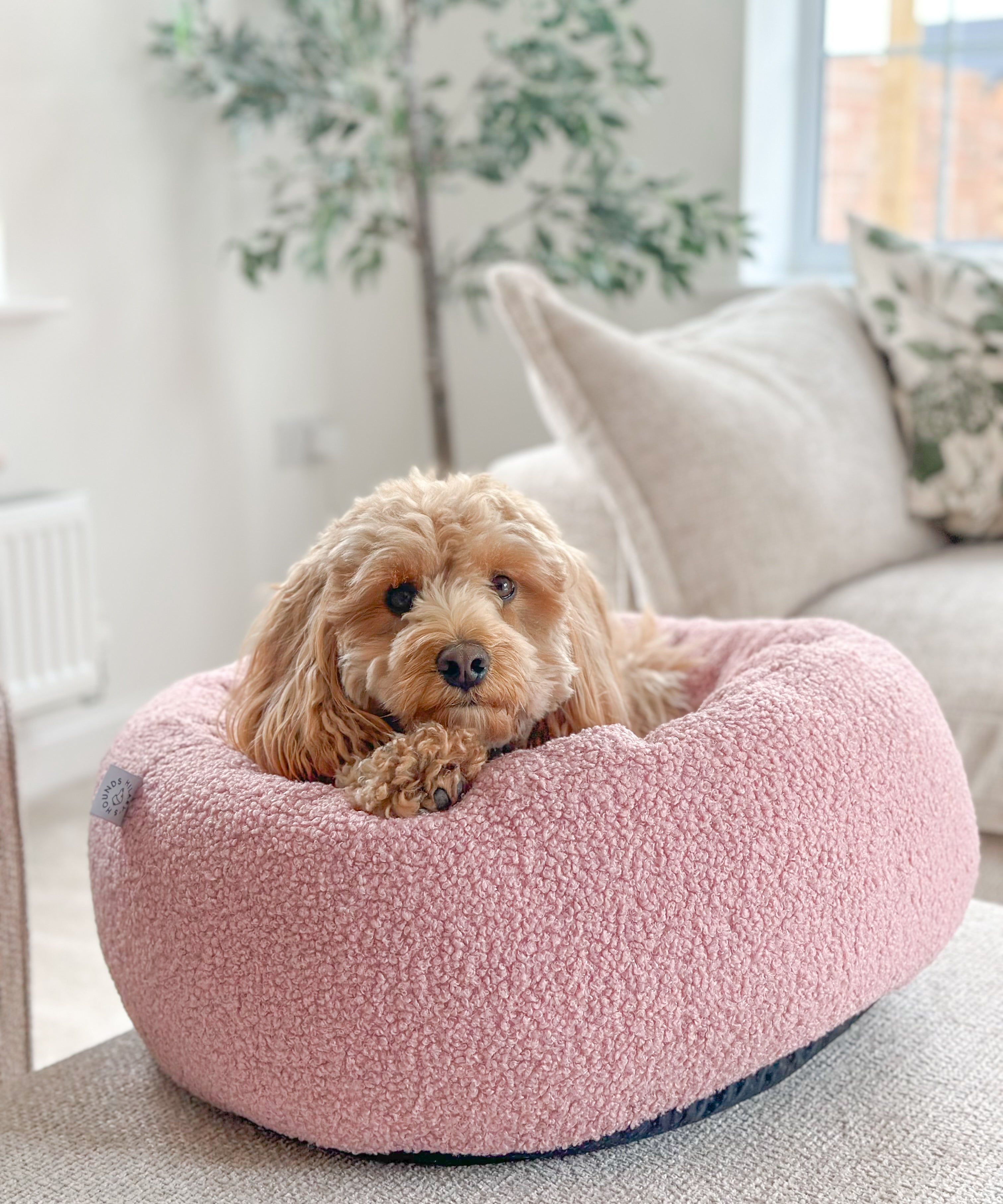 Design Your Own Bed