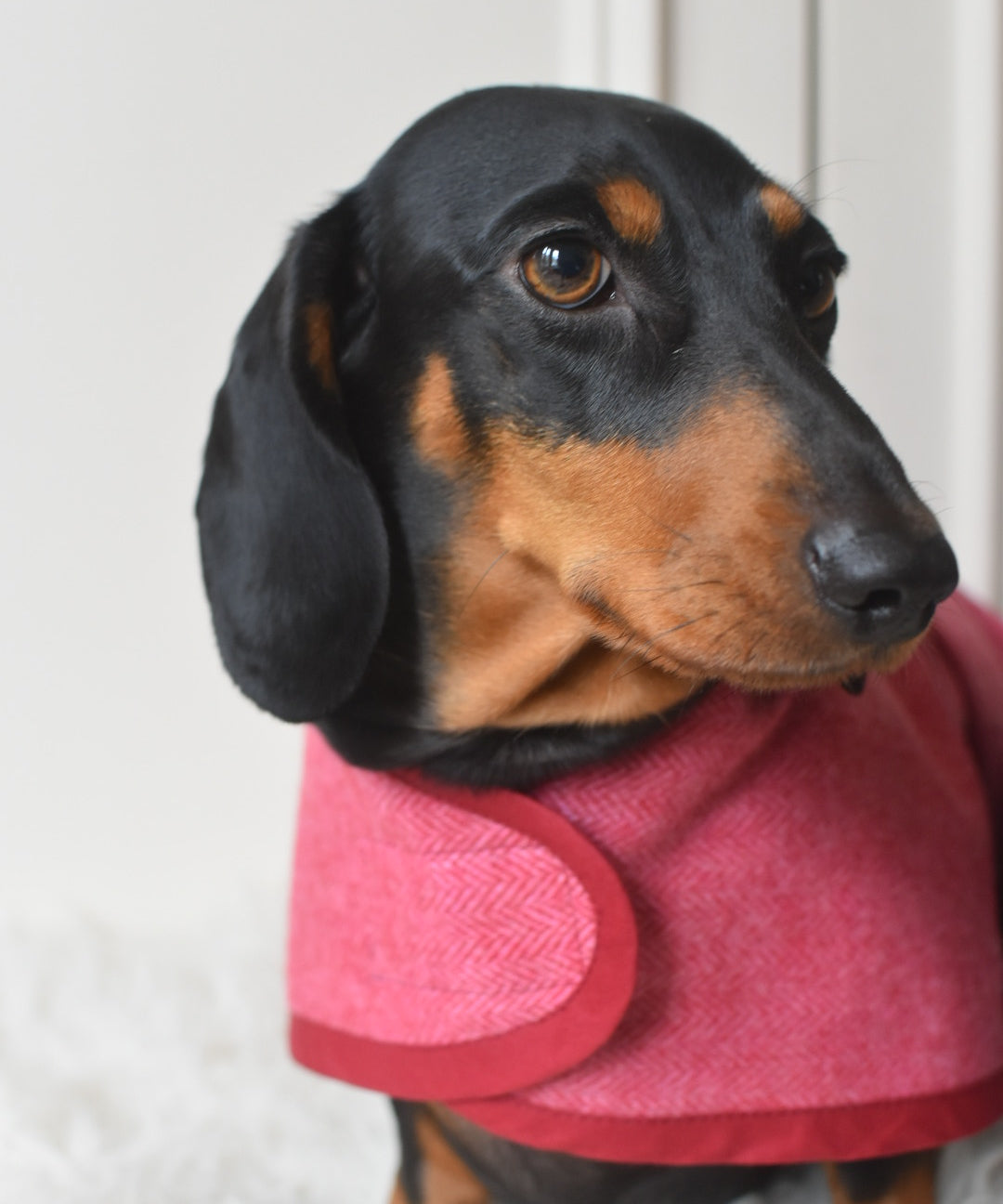 Wool Cape Waterproof / Fleece Lined