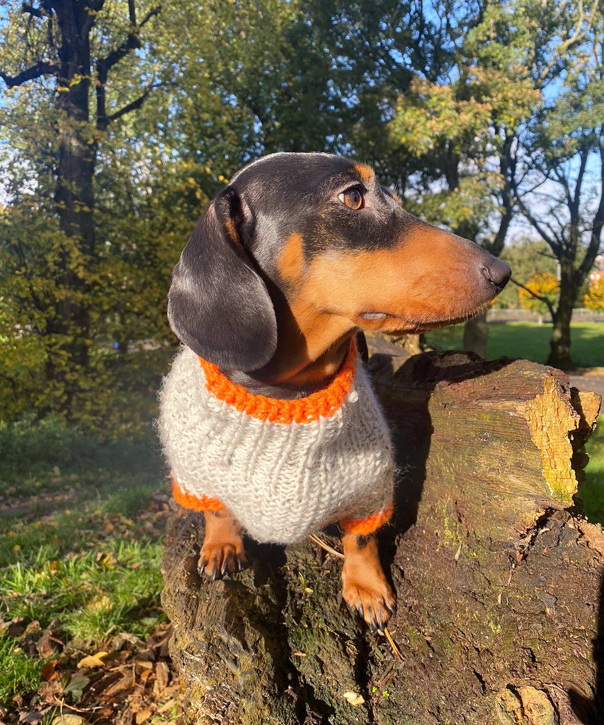 Knitted Jumper