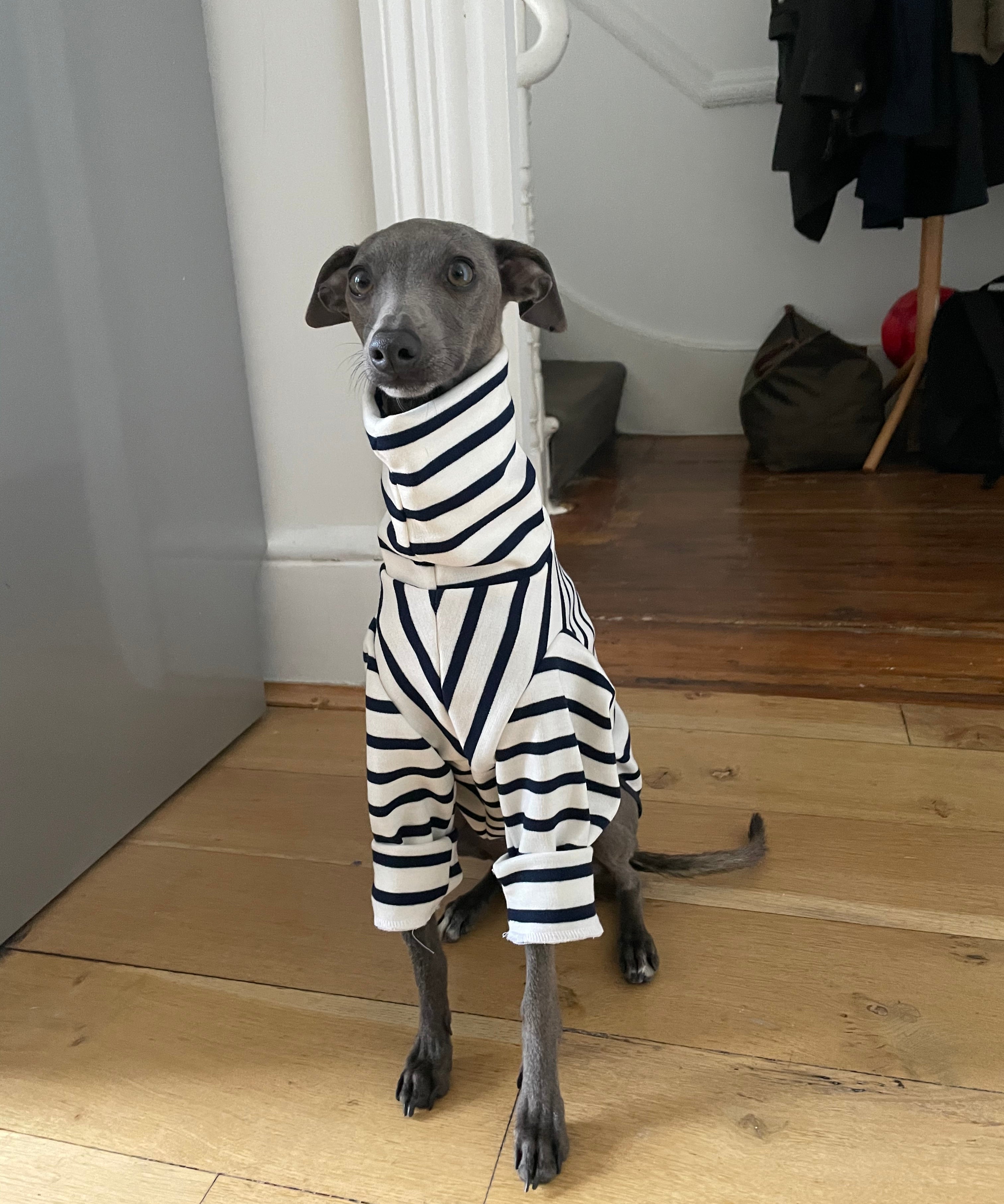 Classic Breton Jersey