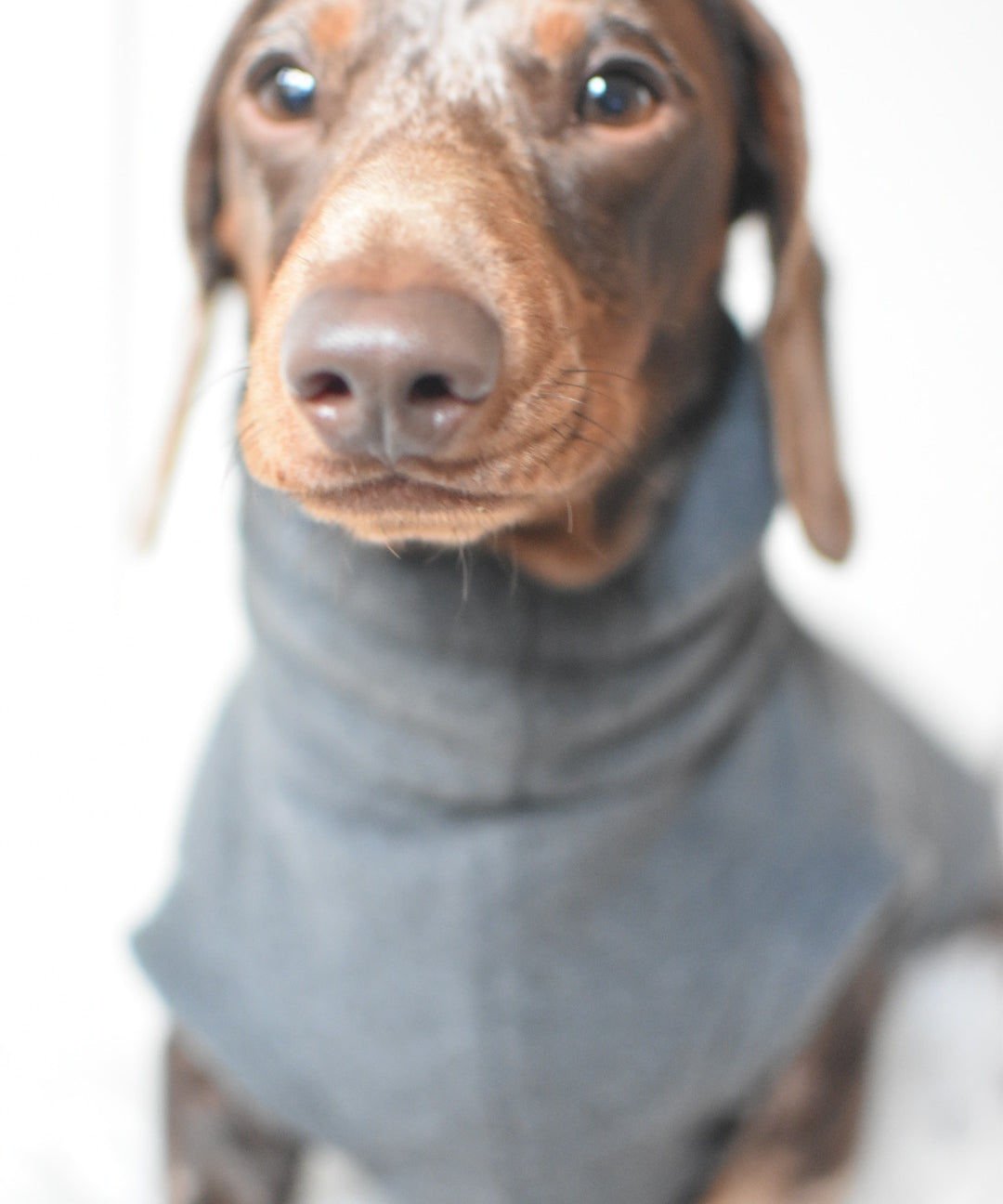 Puppy Fleece Package