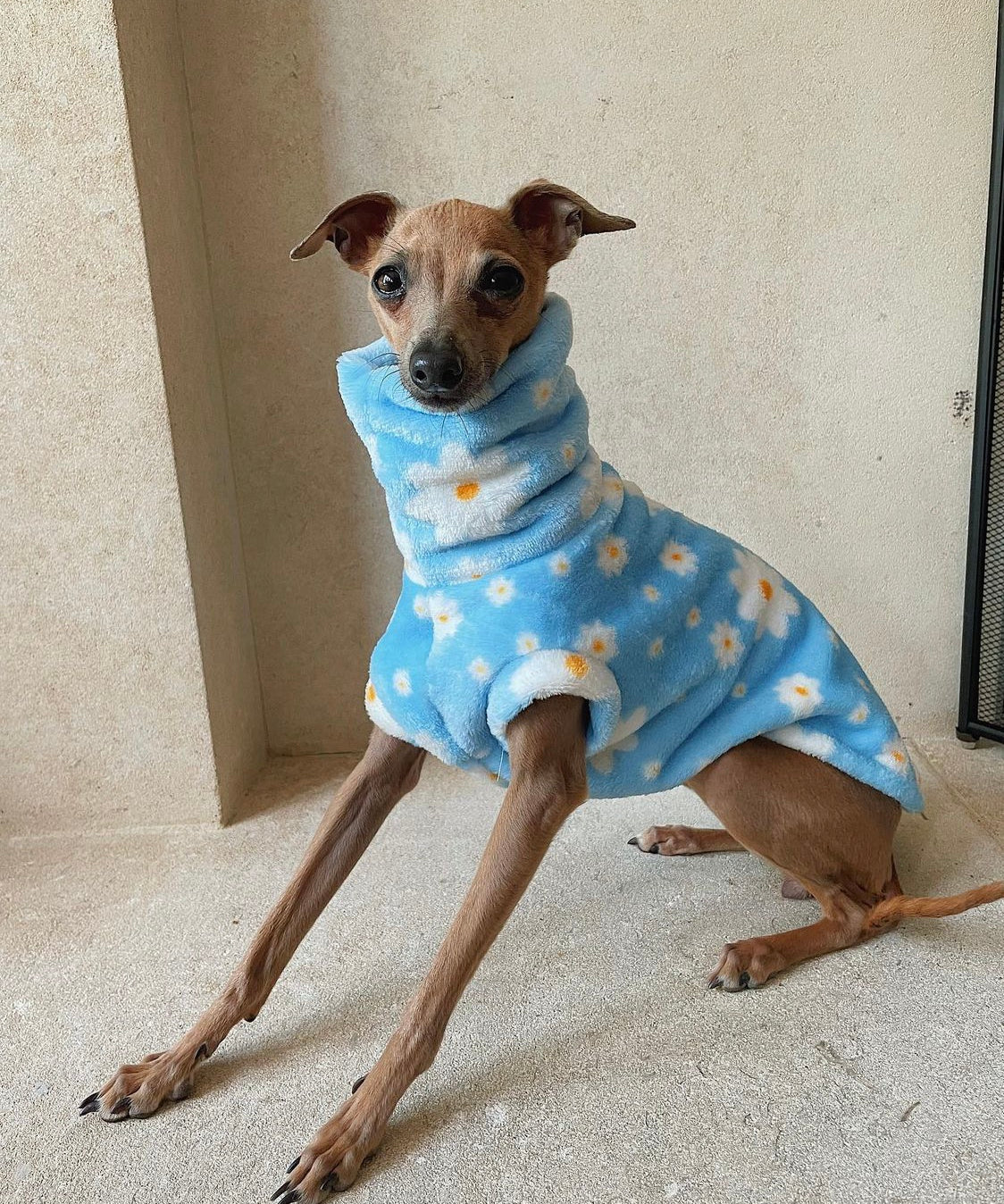 Daisy Super Soft Fleece