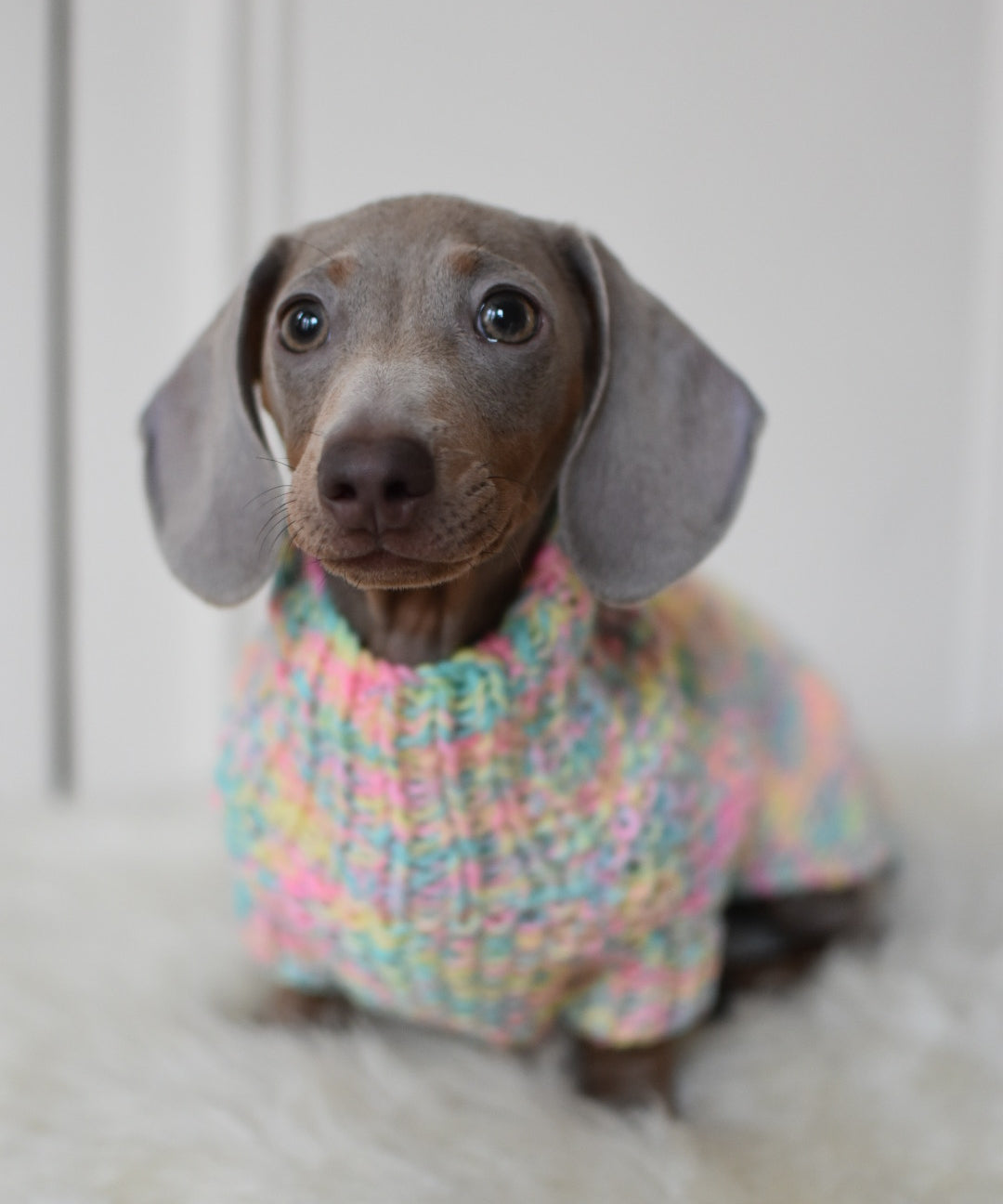 Knitted Jumper