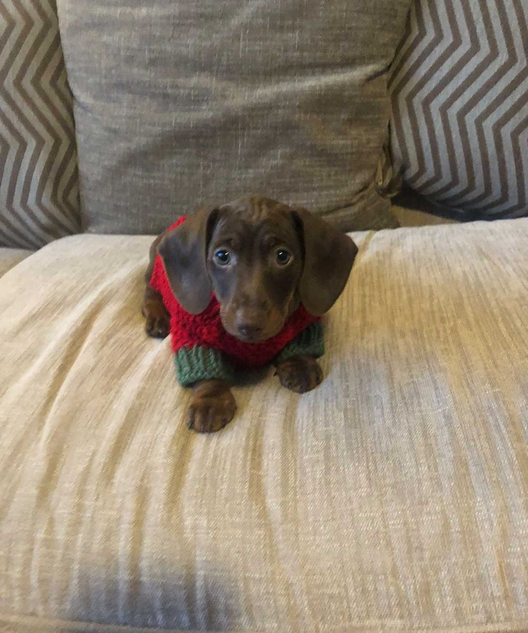 Knitted Jumper